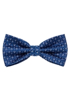 Bowtie in pastel blue patterned