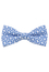 Bowtie in blue printed