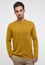 Knitted jumper in curry plain